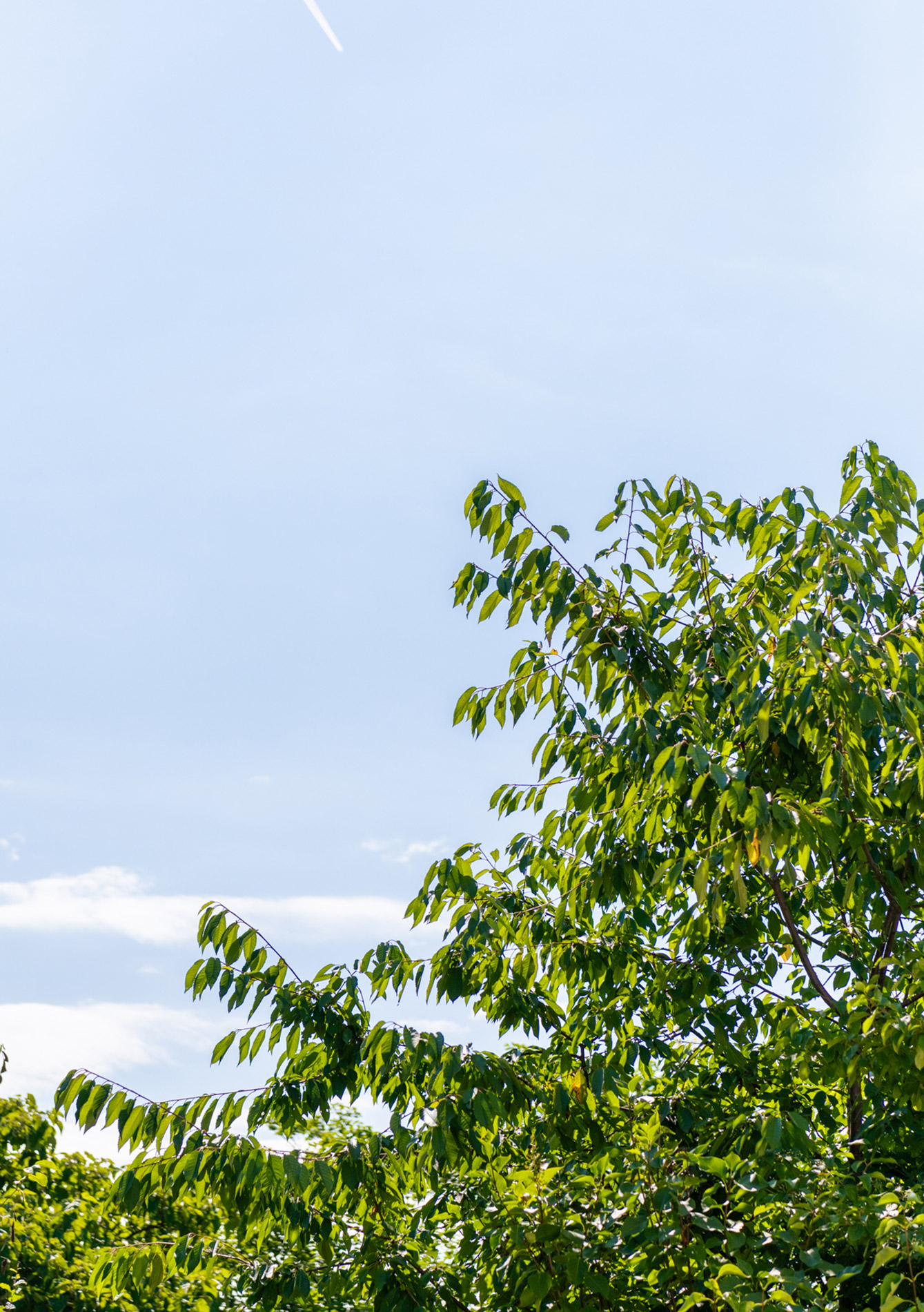 Ausblick, klarer Himmel, Steuerberatung Baldauf Hämmerle